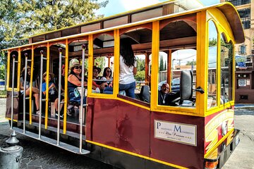 TLAQUEPAQUENSE DAY, Tram + Workshops + Gastronomy