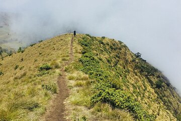 Day Trip to Nature Trails (Guided Private Sightseeing Experience from Bangalore)