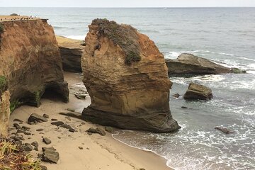 Hidden Nature Walks in the City Private Tour