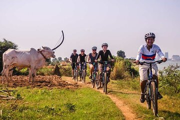 Magical Mekong River Island Biking Tours 