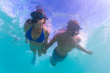 6-Day Coral Coaster from Perth to Exmouth One-Way via Monkey Mia Ningaloo Reef