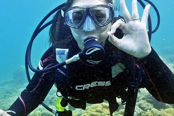 Private Program for Accredited Diver in Búzios