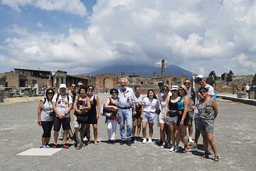 Naples Shore Excursion: Pompeii Half Day Trip from Naples