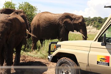 5 Days Lodge Safari - Tarangire, Serengeti, Ngorongoro & Manyara