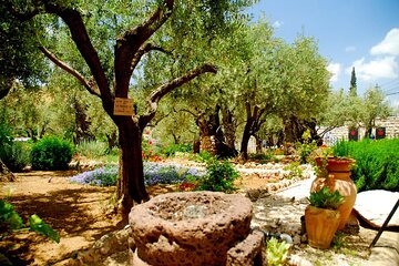 4-Day Christian Tour from Tel Aviv: Jerusalem, Jericho, Bethlehem and Nazareth