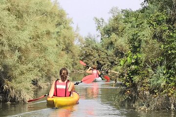 Private Kayak Tour in the Venetian Lagoon