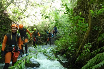 Half-Day Canyoning in Gibbston Valley from Queenstown