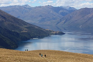 Wanaka High Country Walk