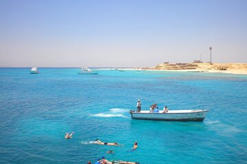 Swim With Dolphins Tour Hurghada