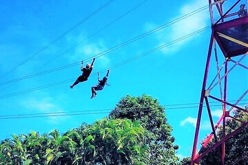 Half Day Tour in Rainforest Zipline Park with Transportation