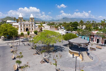 Private Day Trip to San José & Cabo San Lucas