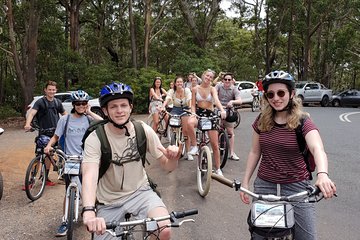 From Sydney: Jervis Bay South Coast Beach Day and Cycling