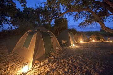 2 Nights 3 Days Chobe Safari ex Livingstone/ Victoria Falls