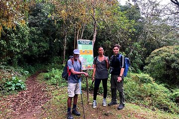 Private Guided Hiking Tour to the Blue Mountains 