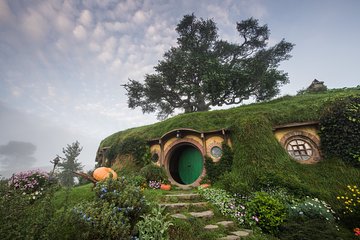 Private Tour [2 Days]: Waitomo Caves & Hobbiton Movie Set Tour