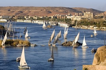 Aswan: Private Nile Boat Cruise and Botanical Garden Visit