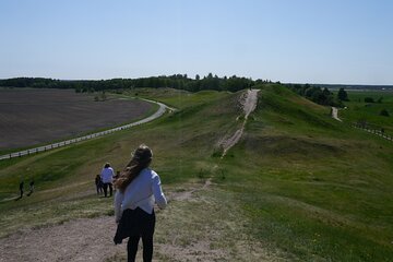 Private 1h tour of famous Old Uppsala mounds and mediveal church