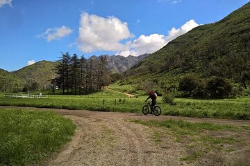 Guided Biking Experience in Ojai