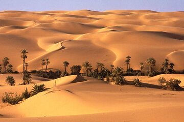 Egypt Desert Safari from Luxor Private