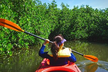 Fort Lauderdale’s Tropical Kayak Tour and Island Adventure