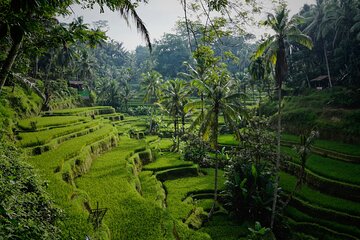 The Secrets of Stunning Bali