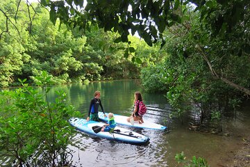 Stand Up Paddle Adventure in Guadeloupe