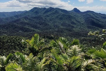 Casual One: El Yunque Rainforest, Waterslides, and Beach Tour