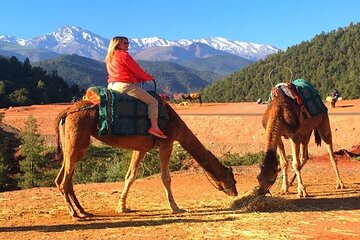  Marrakech: Atlas Mountains & Three valleys with Camel Ride
