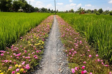 Private Mekong Delta Shore Excursions from Cruise Port