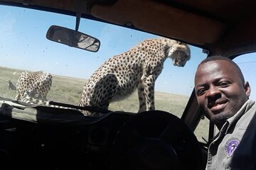 5 Days Tanzania Group Joining Safari, Tarangire/Serengeti/Ngorongoro Crater