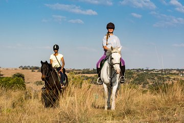 Horseback Small-Group Trail Rides in Muldersdrift