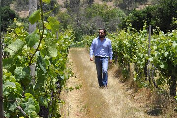 Countryside Tour through Maipo Valley