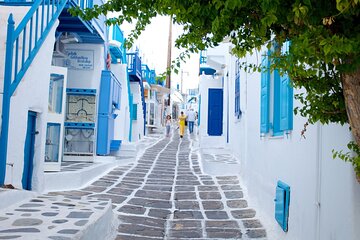 15 Day Private Tour in Ancient Greece, Mykonos and Santorini 