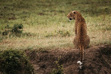 3-Day Masai Mara Luxury Safari
