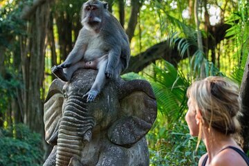 Ubud: Waterfalls, Rice Terraces, and Monkey Forest Private Tour