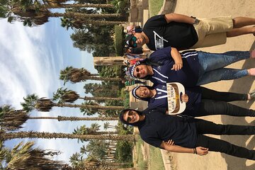 Explore Cairo and Giza.
