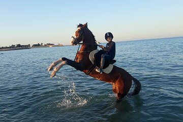 4 Hour Horse Riding in the Desert and Sea 