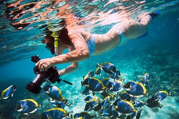 Orange Bay, all day trip with snorkeling 