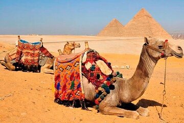 Unique Ancient Egypt, trip to Cairo, Pyramids, Sphinx, Museum 