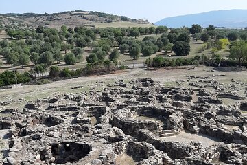 Half-Day Private Trip from Cagliari to Barumini in Su Nuraxi