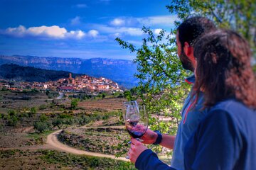 Private Wine and Oil Tour in the Priorat Wine Region