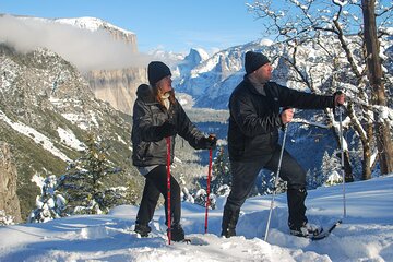 Private Guided Snowshoe Hike in Yosemite