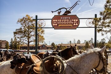  Ruby's Horseback Adventures Utah 1.5 Hour Ride