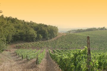 Luxury Chianti Tour