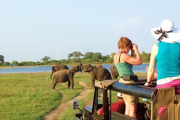 8-Day Private Wildlife Viewing and Chimpanzees Tracking Safari