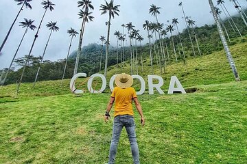 Tour in the short cocora valley