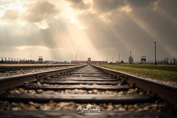 Auschwitz-Birkenau Memorial and Museum Guided Tour - Private Transport