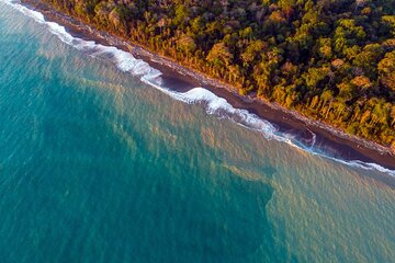 4-Days family tour with visit to Cano island and Corcovado 