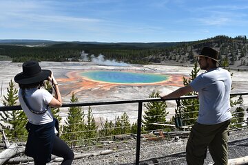 PRIVATE Yellowstone Tour 4 or more people- Picnic, Binoculars, Spotting Scope