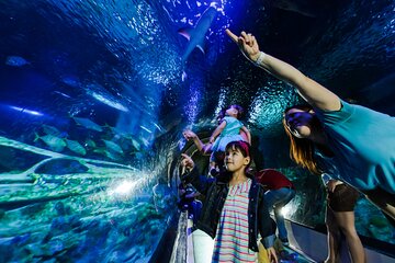 SEA LIFE Aquarium Arizona Admission Ticket